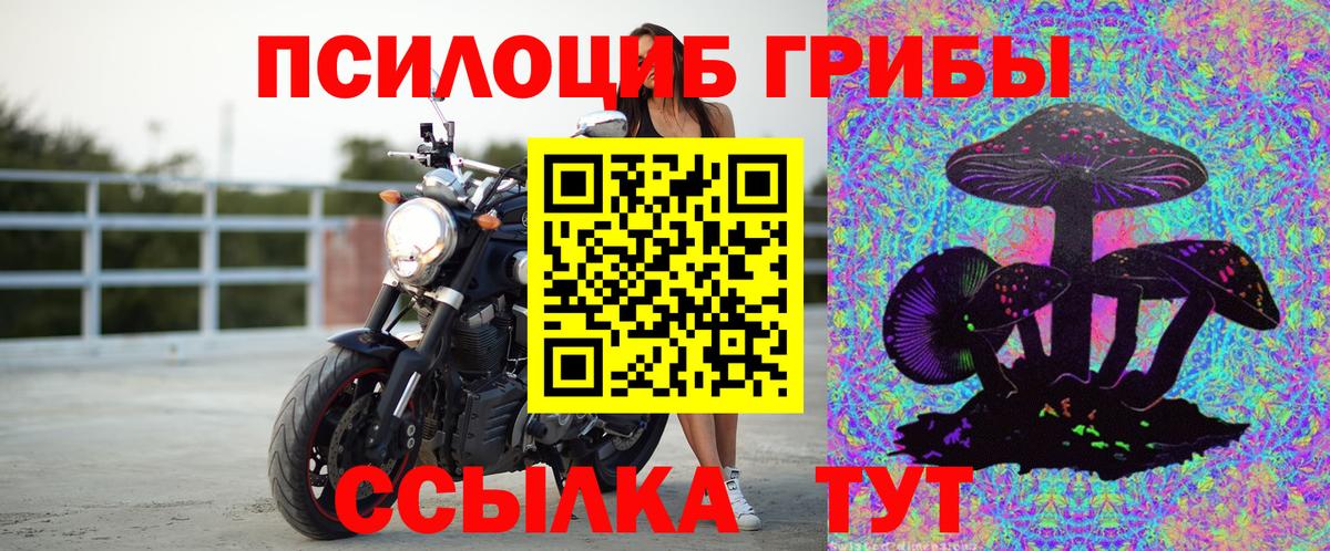 Борзя  Псилоцибиновые грибы ЛСД  Вход с VPN 
