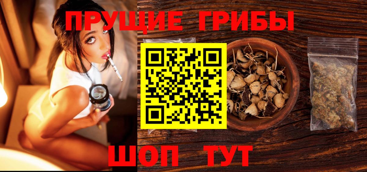 Псилоцибиновые грибы Cubensis Борзя